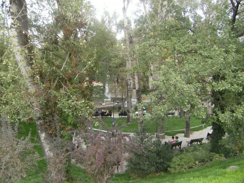 Park Kuğulu — łabędzie w centrum Ankary