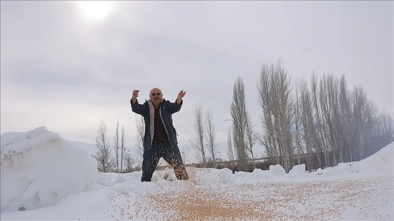 Télen 10 tonna gabonát hagy a természetnek, hogy 