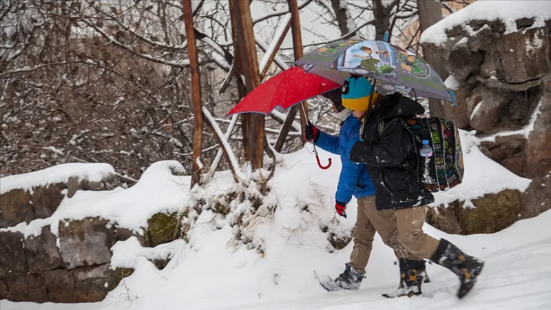 В некоторых районах провинций Хаккари и Шанлыурфа занятия в школах приостановлены на один день