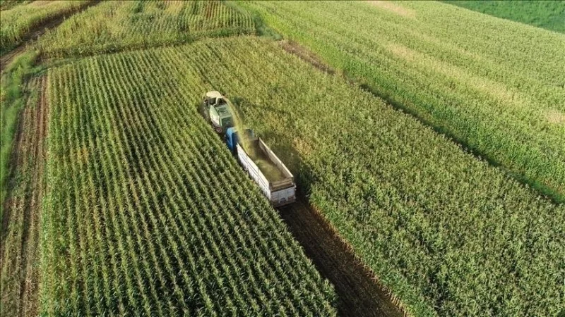 制定了关于农田保护和利用的基本原则