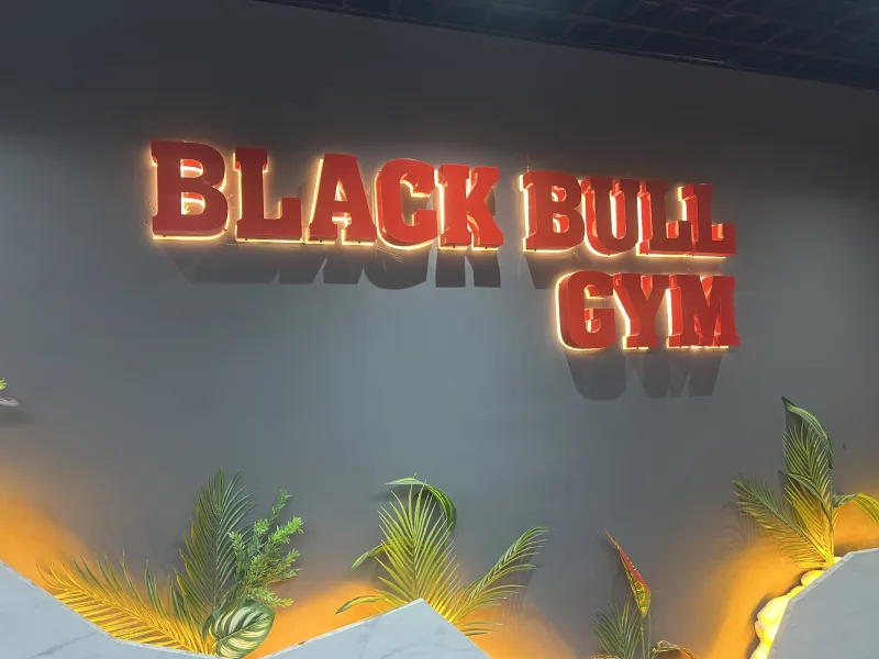 Black Bull Pro GYM — Fitnessstudio in Alanya: Online-Bestellung, Preise und Bewertungen